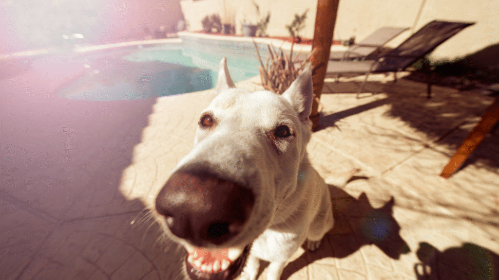 50+ Funny Photography Captions for Group Travel Photos to Make Every Adventure Memorable