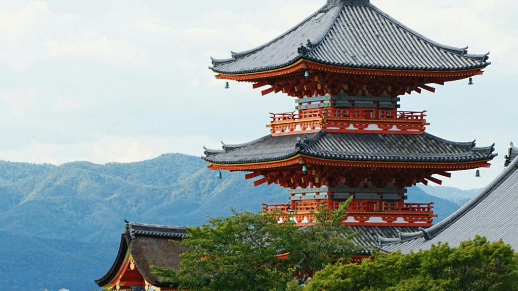 • Smart planning turns complex transport networks into simple adventures.