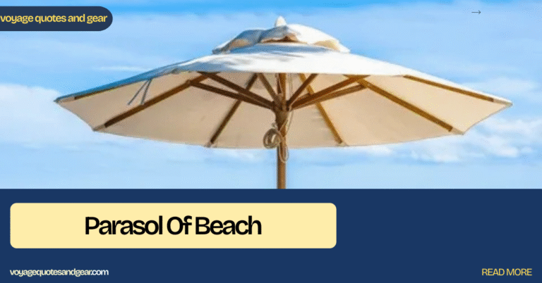Parasol Of Beach