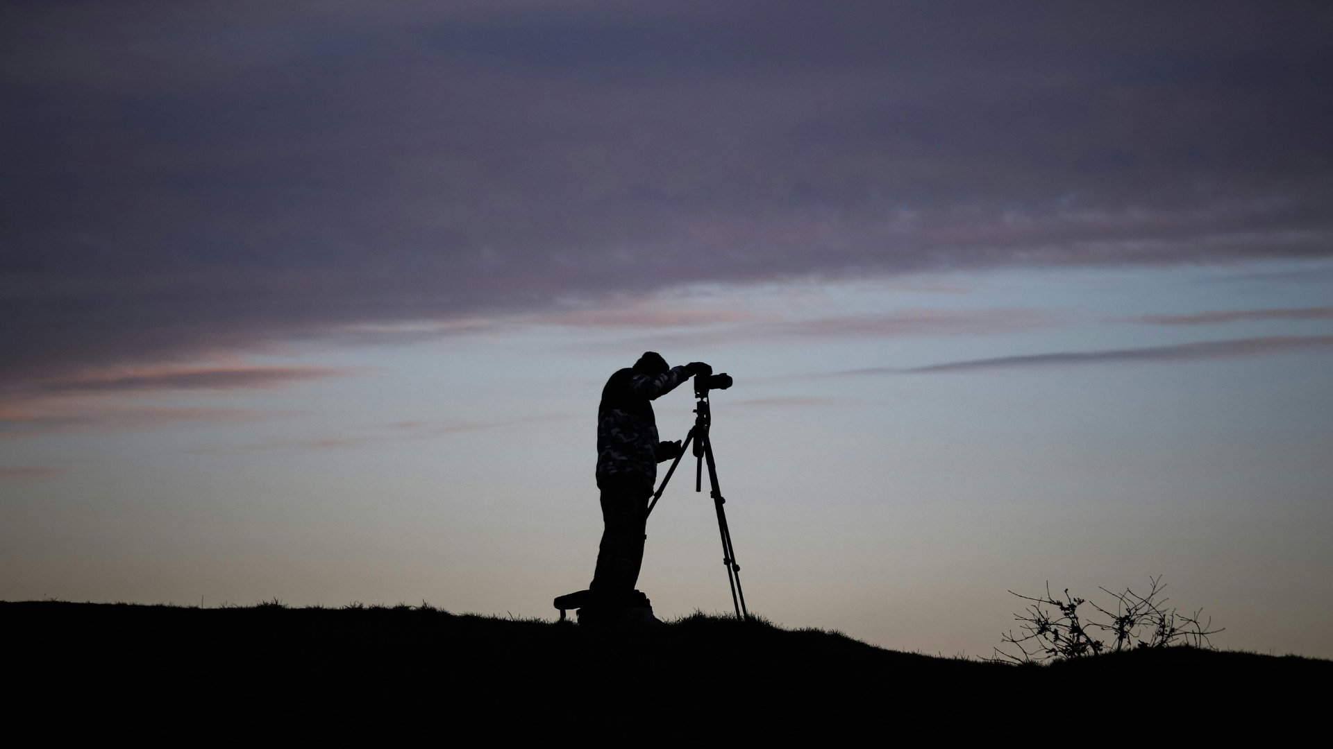 Best Travel Tripods: Lightweight, Stable, and Easy for Any Shot