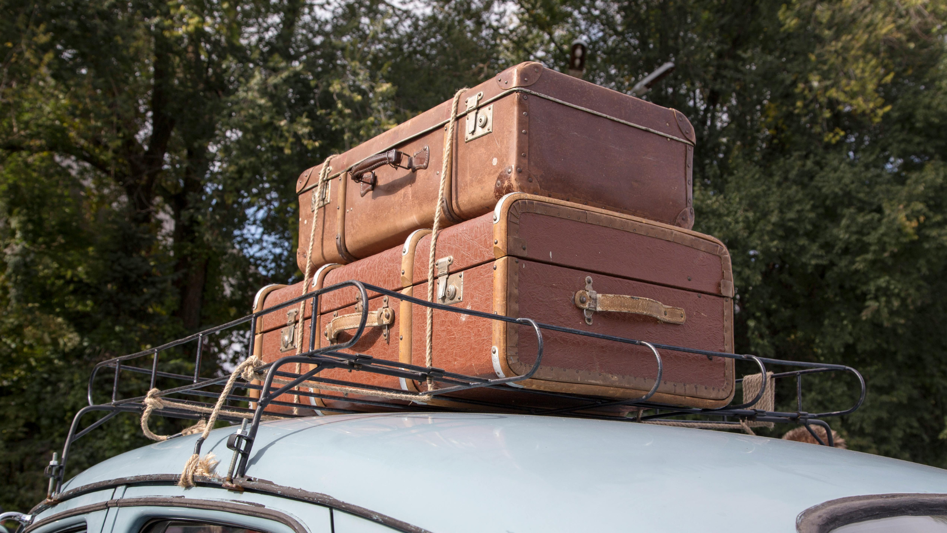 Best Waterproof Travel Cases: Protect Phones, Cameras, and Documents