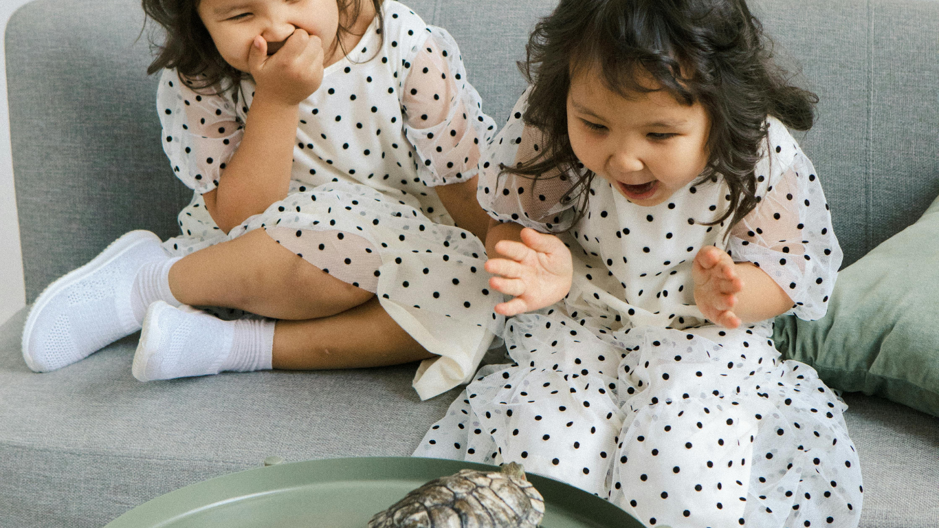 Bhai Behan Bond Quotes