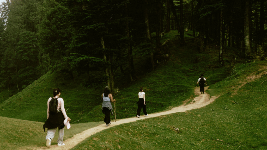  Trails for Beginners: Easy Hikes with Stunning Views