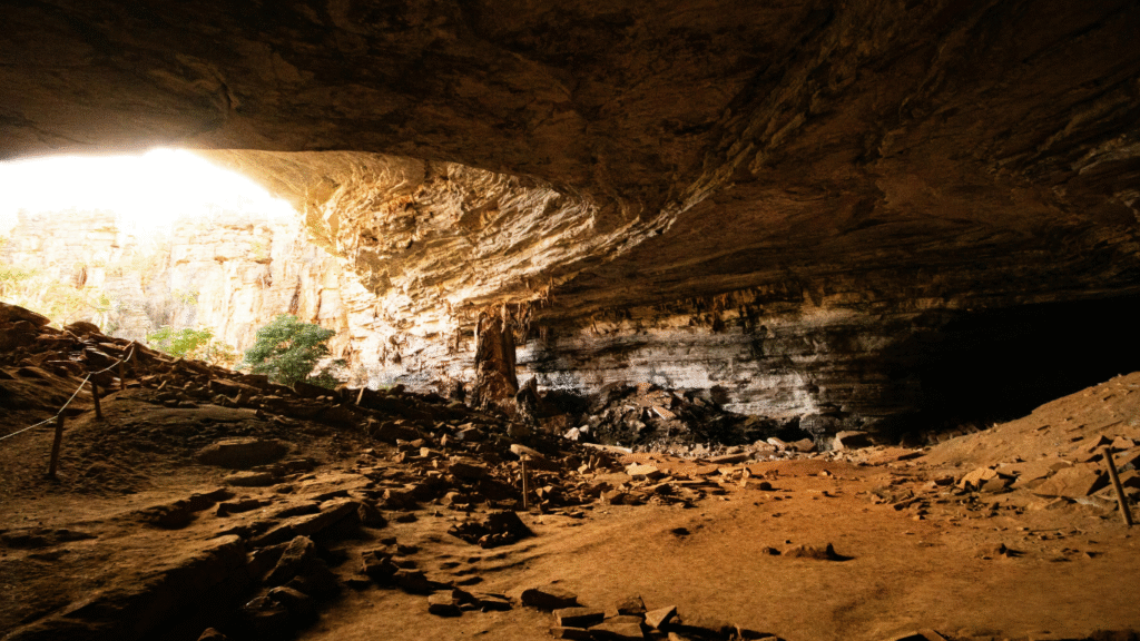 Captions for Jungle Adventures and Wild Escapes