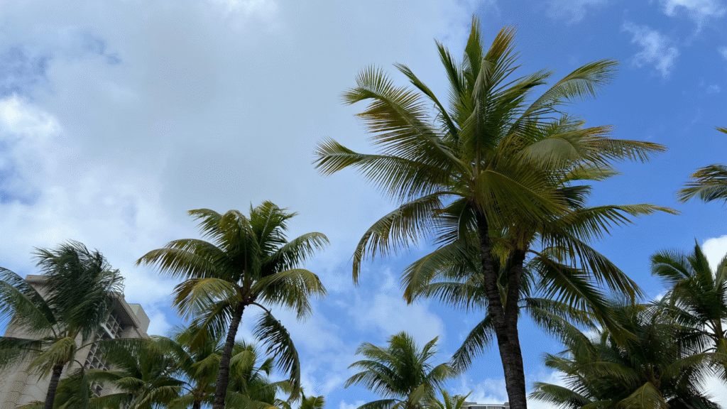 Capture the Island Vibes with Aloha-Inspired Captions