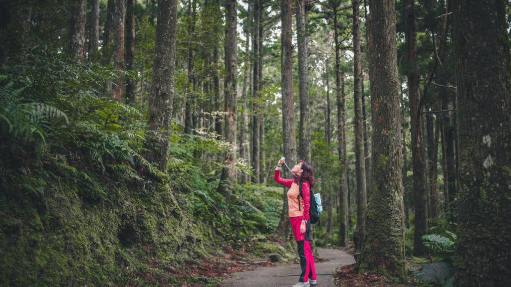  Cultural Hiking Routes: Explore Tradition Along the Trail