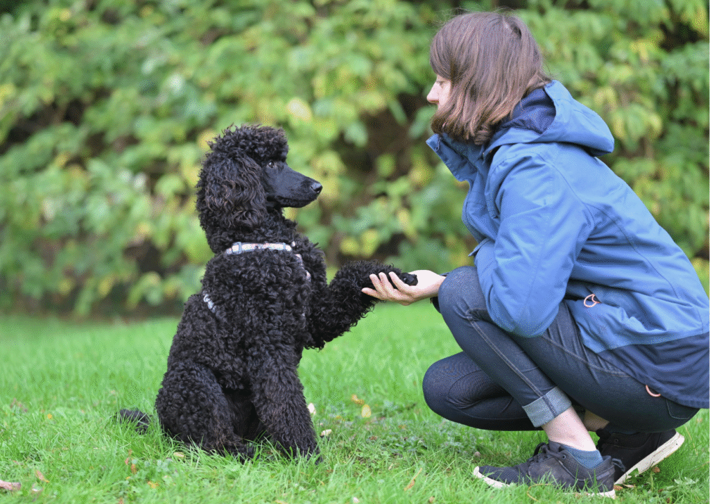 Cultivating Patience