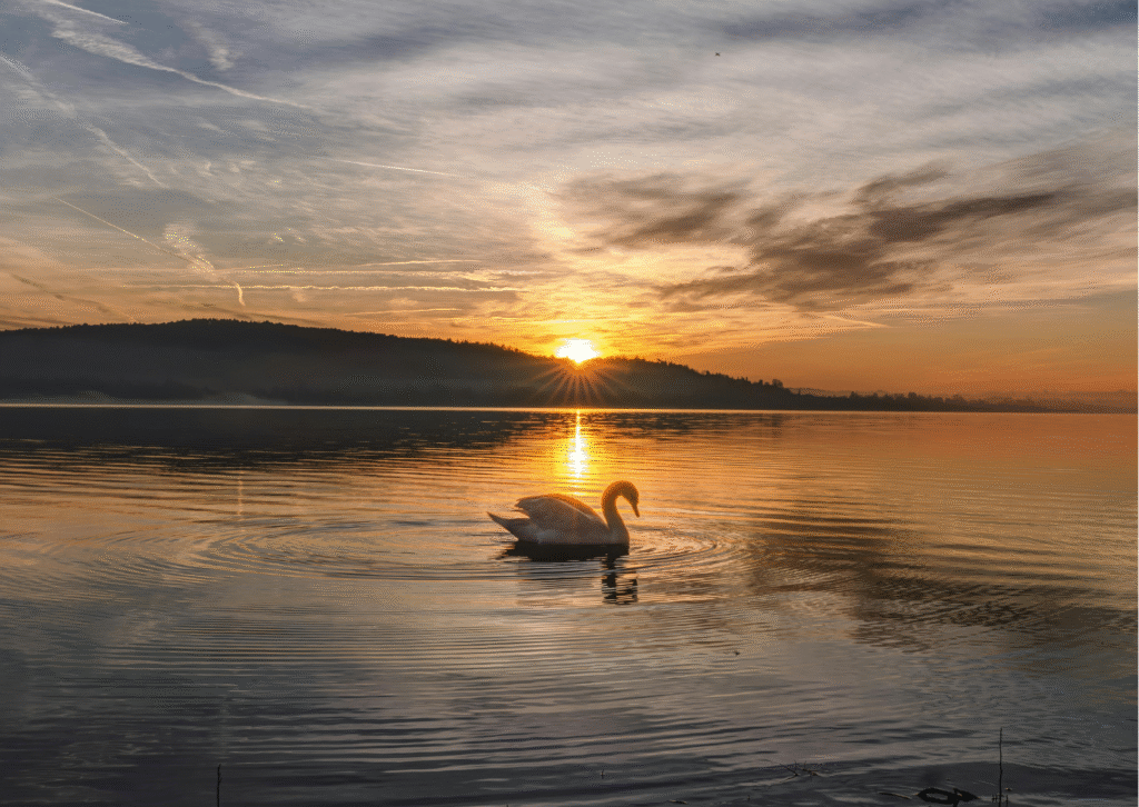 Daily Morning Blessings for Peace and Focus That Wake the Brain Gently