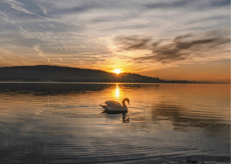 Daily Morning Blessings for Peace and Focus That Wake the Brain Gently