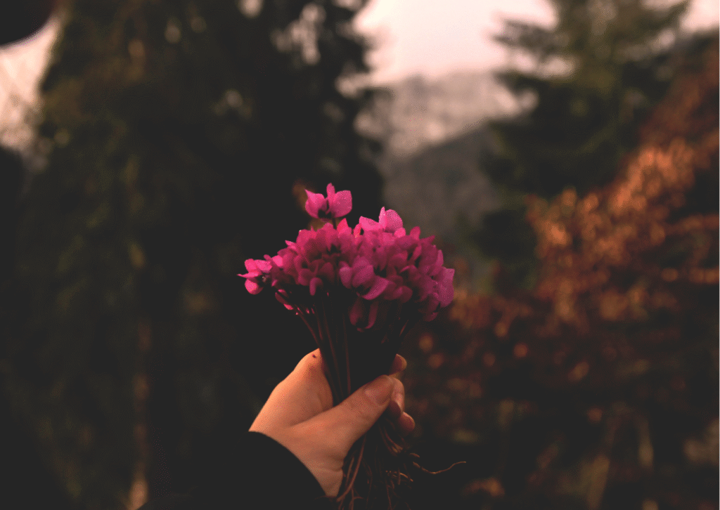 Blessings for Patience in Hard Days When Waiting Feels Like a Full-Time Job