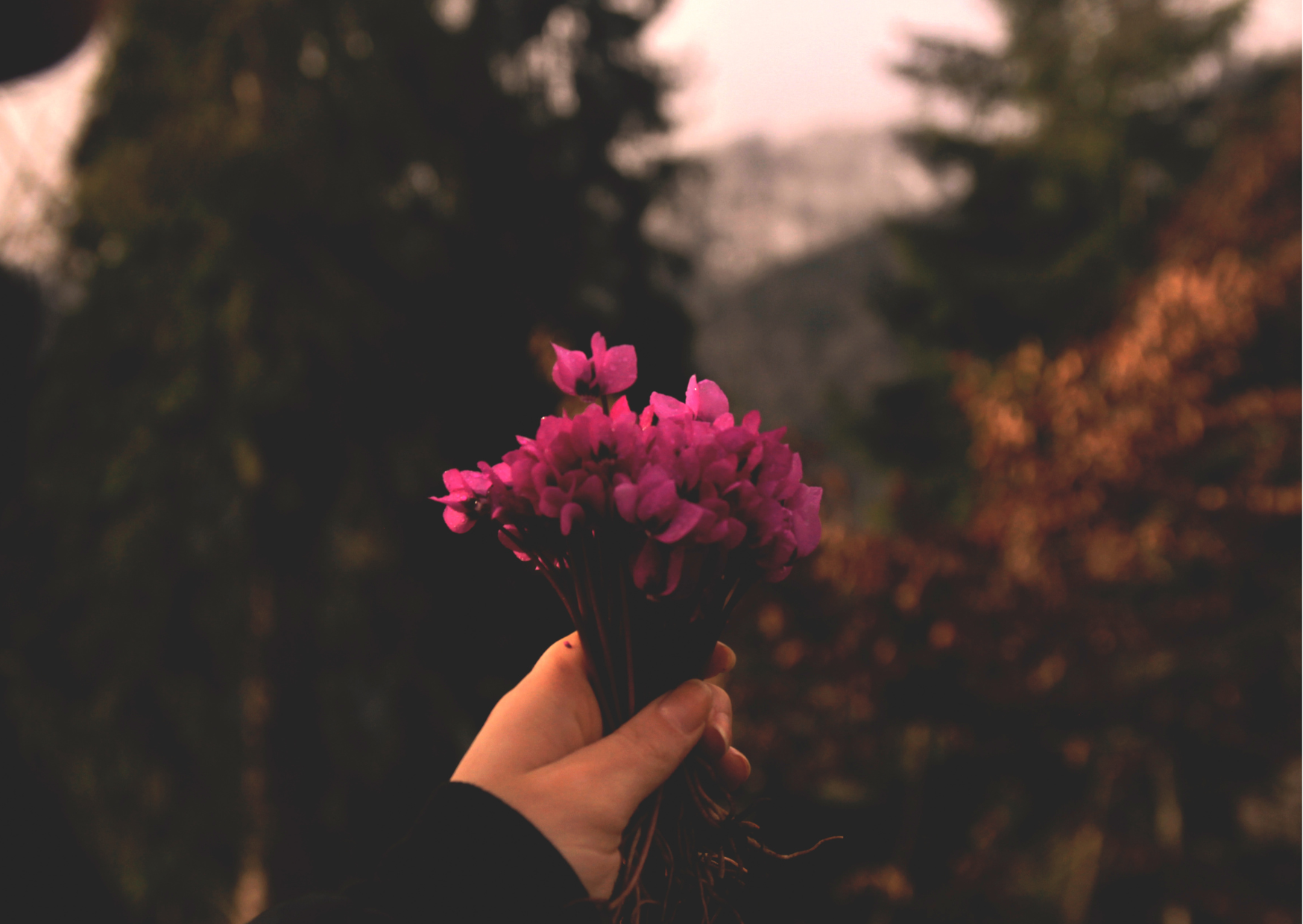 Blessings for Patience in Hard Days When Waiting Feels Like a Full-Time Job