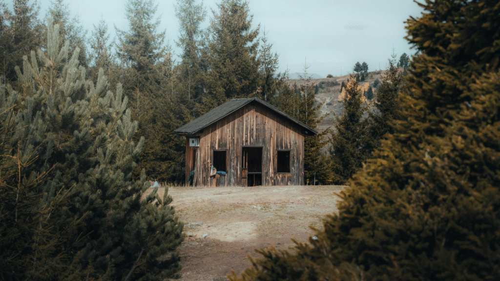 Blessings for Quiet Focus That Clear the Inner Noise