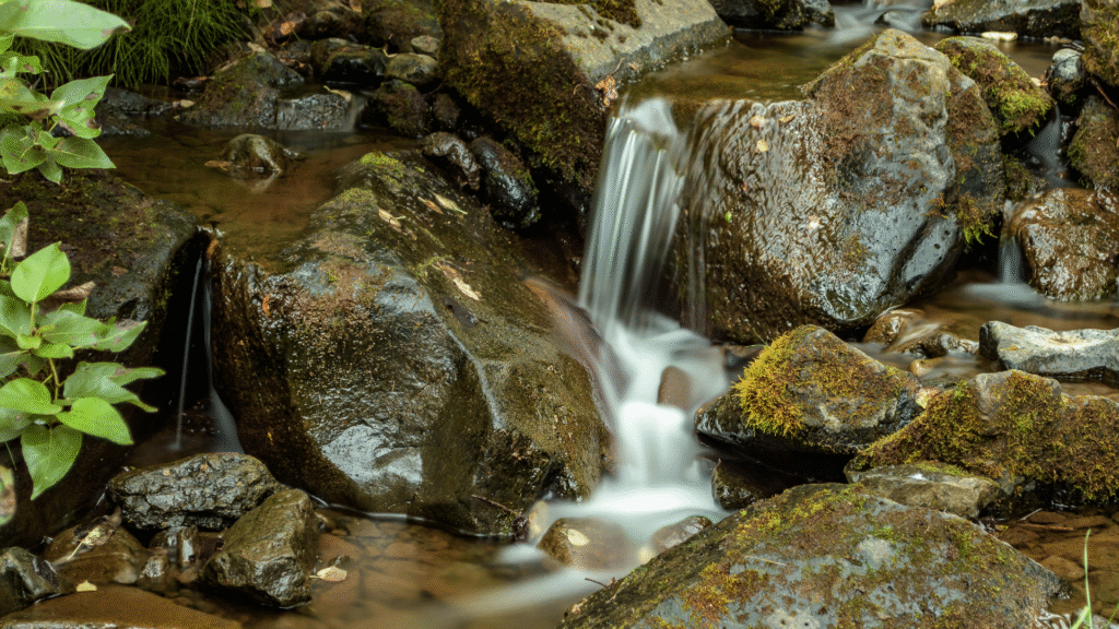 Blessings for Gentle Awareness That Feel Quiet and Real