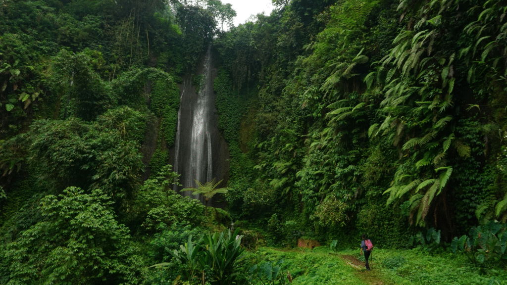 7 Quick Blessings for Calm Focus When Attention Wanders