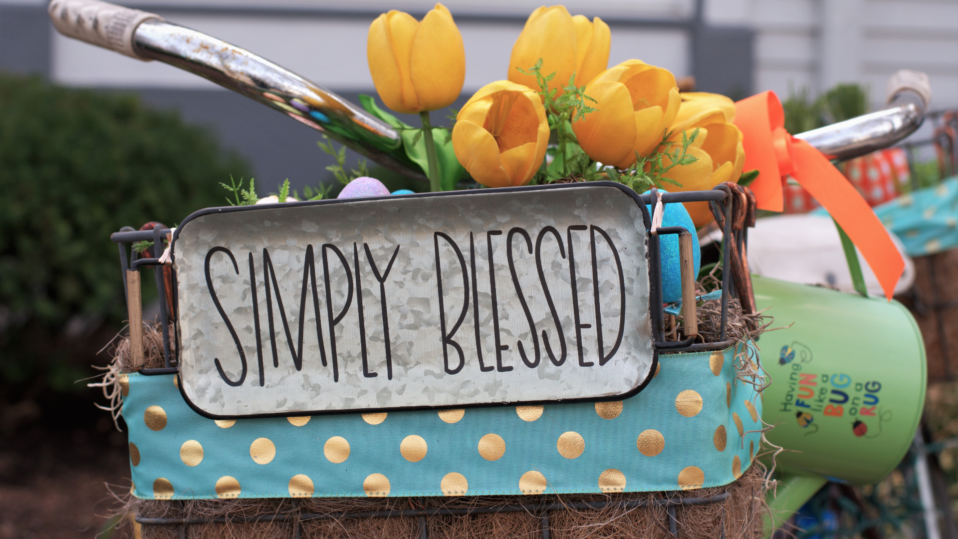 7 Gratitude Blessings to Feel Happier Every Day in America